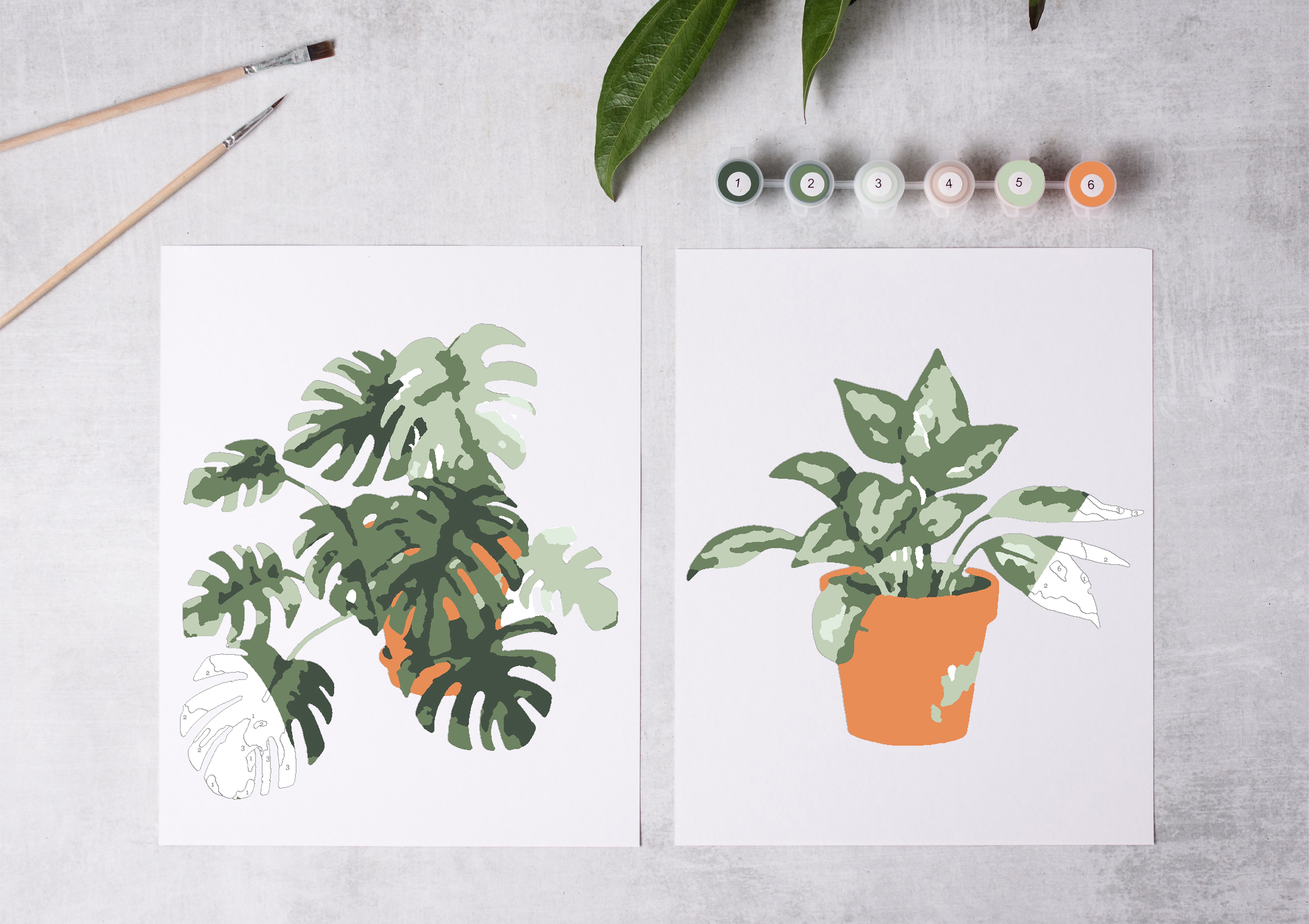 paint potted plants Tropical Plants Paint-By-Numbers kit